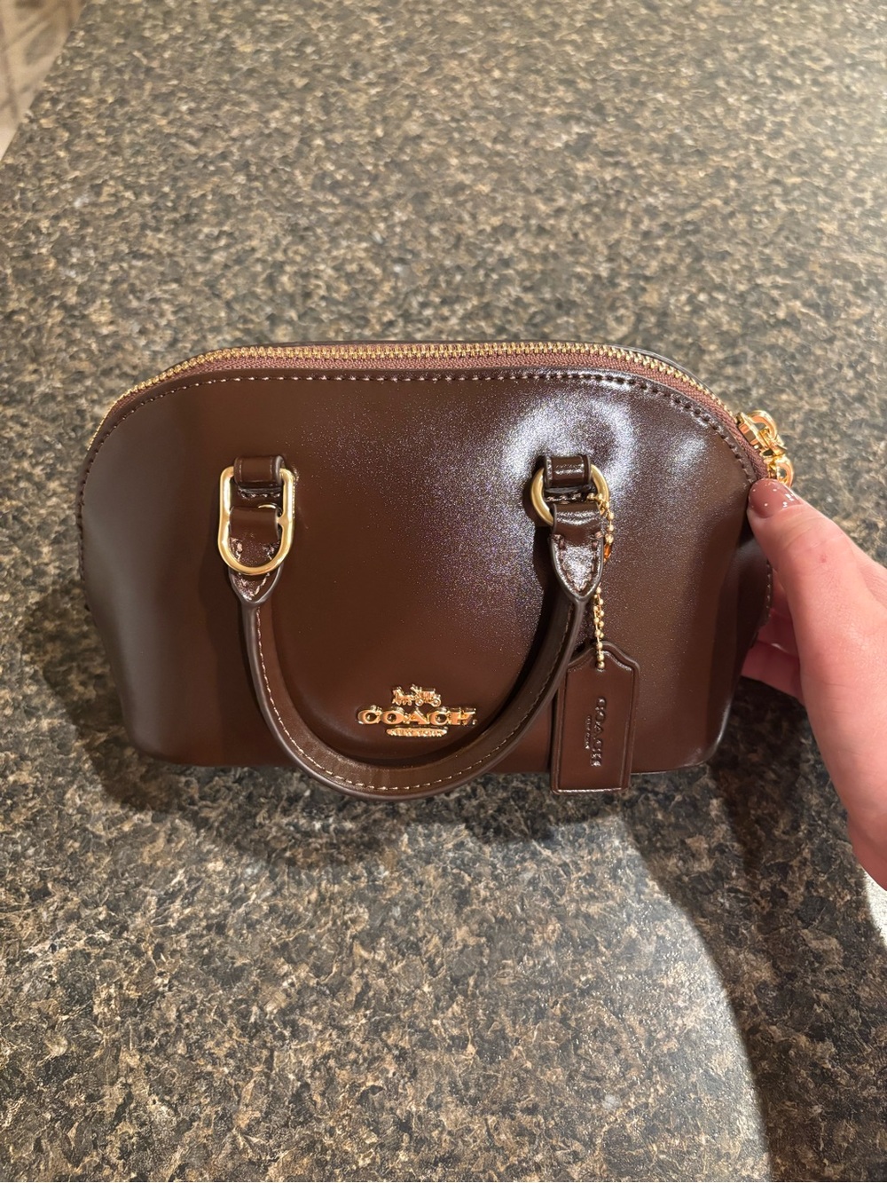 Coach Dark Brown Leather Mini Dome Satchel with Gold Hardware